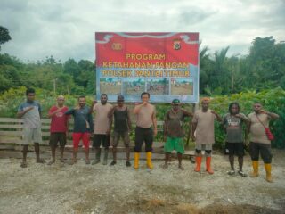 Wujud Nyata Kepedulian, Polsek Pantai Timur Perluas Kebun Ketahanan Pangan