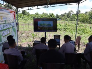 Panen Raya Jagung Kuartal III, Polres Sarmi Polda Papua Tegaskan Komitmen Dukung Petani