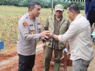 Kapolres Fakfak Pimpin Panen Raya Jagung Serentak Dukung Swasembada Pangan