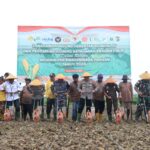 Polda Papua Dukung Program Swasembada Pangan Melalui Penanaman Jagung Serentak Kuartal IV di Keerom