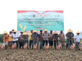Polda Papua Dukung Program Swasembada Pangan Melalui Penanaman Jagung Serentak Kuartal IV di Keerom