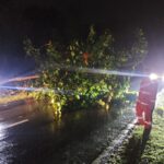 Tanggap Cepat Samapta Polda Papua Atasi Pohon Tumbang di Belakang RS Bhayangkara