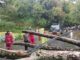 Sinergi Cepat Polri dan Warga Bersihkan Pohon Tumbang di Skyland Jayapura