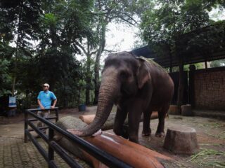 Pakan Satwa Dipantau Ketat, Kondisi Satwa Bandung Zoo Relatif Sehat