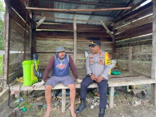 Polsek Nimbokrang Dampingi Petani Rawat Lahan Jagung, Perkuat Ketahanan Pangan di Kabupaten Jayapura