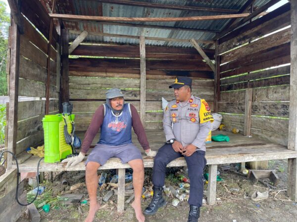 Polsek Nimbokrang Dampingi Petani Rawat Lahan Jagung, Perkuat Ketahanan Pangan di Kabupaten Jayapura