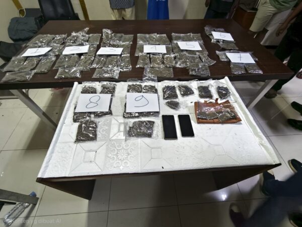 Polda Papua Barat Ungkap Kasus Peredaran Narkotika Jenis Ganja, Tiga Orang Diamankan