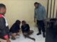 Quick Respon Polisi Berhasil Amankan Pelaku Perusakan Kantor Bank Papua Kobakma