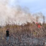 Kebakaran Hutan dan Lahan Terjadi di Distrik Tomage, Polsek Bomberay Lakukan Penanganan Cepat