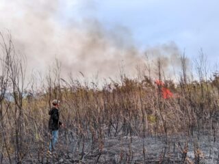 Kebakaran Hutan dan Lahan Terjadi di Distrik Tomage, Polsek Bomberay Lakukan Penanganan Cepat