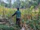 Sinergi Polri dan Petani Berbuah Hasil, Jagung Hibrida Wurkendik Berhasil Dipanen