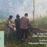 Dua Titik Karhutla Terdeteksi di Momiwaren, Polisi dan Tim Gabungan Lakukan Pemadaman
