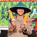 Tanam Jagung dan Panen Bersama Petani, Wujudkan Program Nasional Swasembada Bibit Dan Pangan Di Papua Barat