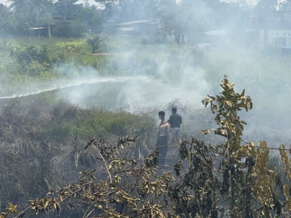 Kebakaran Lahan Kosong di Jalan Bintuni–Manimeri, Tim Karhutla Polres Teluk Bintuni Bergerak Cepat Padamkan Api