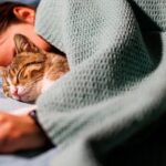 Amankah Tidur Bersama Kucing Kesayangan?