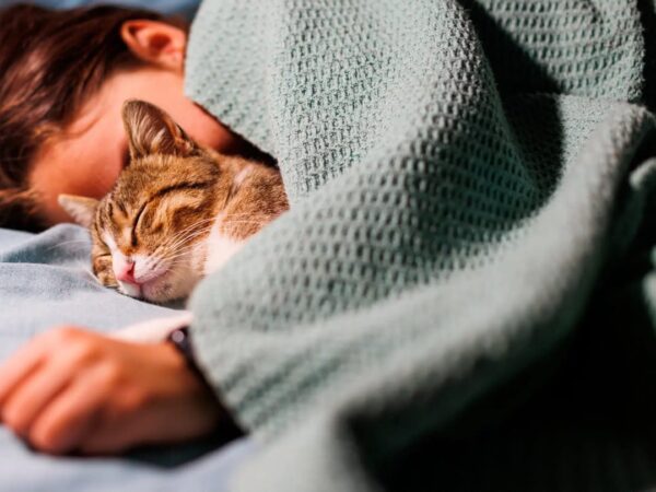 Amankah Tidur Bersama Kucing Kesayangan?